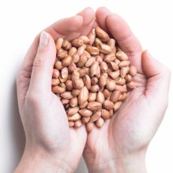 Honnor and Jeffreys quality loose peanuts, sold by the kilogram or in set ammounts.