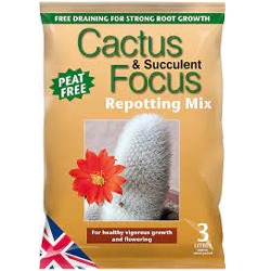 Cactus and succulent compost 8ltr