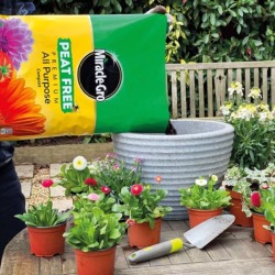 Miracle Gro All Purpose 40LTR Peat Free Compost