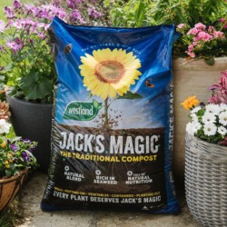 Westland Jacks Magic